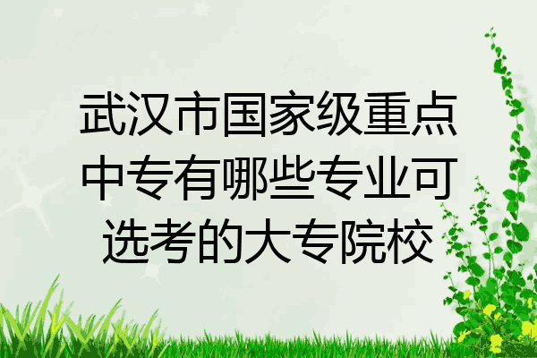武汉市国家级重点中专有哪些专业可选考的大专院校