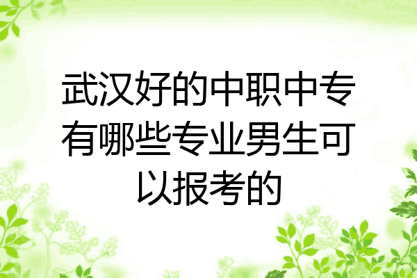 武汉好的中职中专有哪些专业男生可以报考的