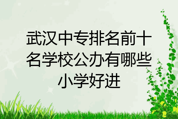 武汉中专排名前十名学校公办有哪些小学好进