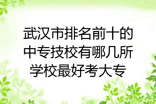武汉市排名前十的中专技校有哪几所学校最好考大专