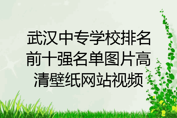 武汉中专学校排名前十强名单图片高清壁纸网站视频