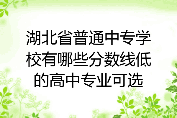 湖北省普通中专学校有哪些分数线低的高中专业可选