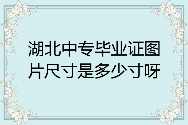 湖北中专毕业证图片尺寸是多少寸呀