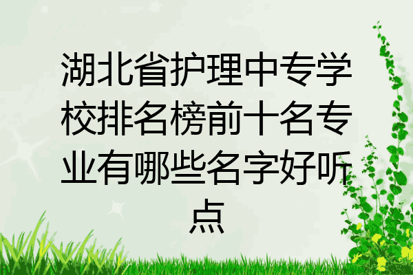 湖北省护理中专学校排名榜前十名专业有哪些名字好听点