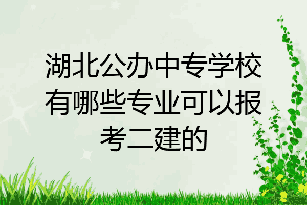 湖北公办中专学校有哪些专业可以报考二建的