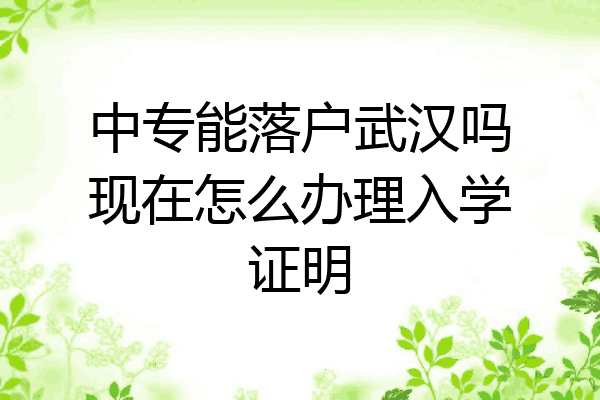 中专能落户武汉吗现在怎么办理入学证明