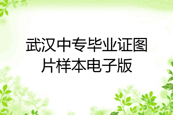 武汉中专毕业证图片样本电子版