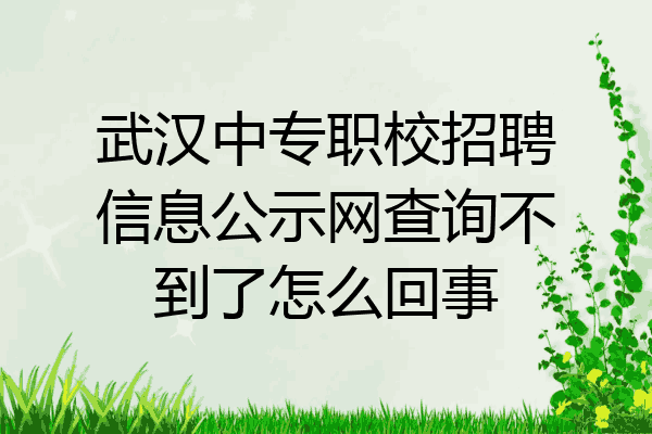 武汉中专职校招聘信息公示网查询不到了怎么回事