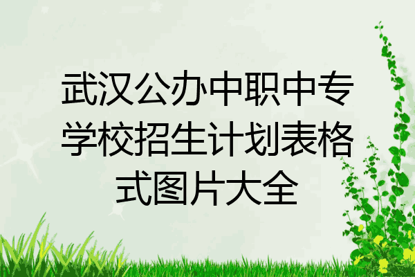 武汉公办中职中专学校招生计划表格式图片大全