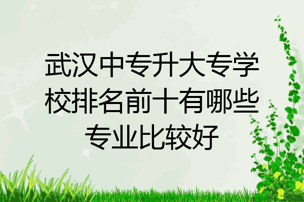 武汉中专升大专学校排名前十有哪些专业比较好