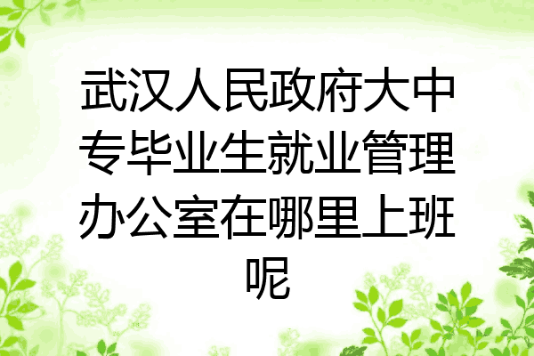 武汉人民政府大中专毕业生就业管理办公室在哪里上班呢