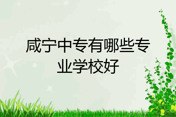 咸宁中专有哪些专业学校好