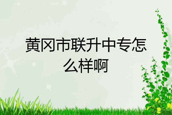 黄冈市联升中专怎么样啊