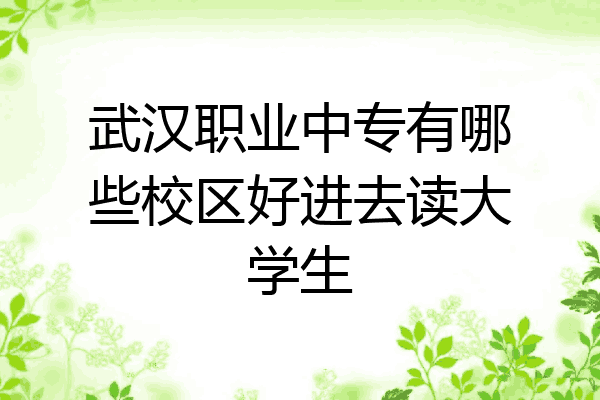 武汉职业中专有哪些校区好进去读大学生