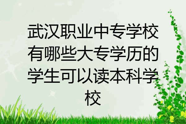 武汉职业中专学校有哪些大专学历的学生可以读本科学校