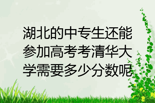 湖北的中专生还能参加高考考清华大学需要多少分数呢