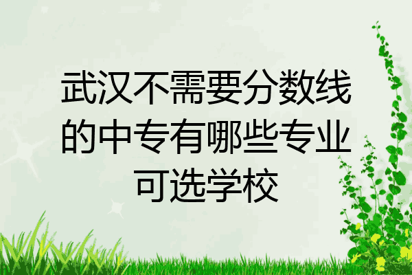 武汉不需要分数线的中专有哪些专业可选学校