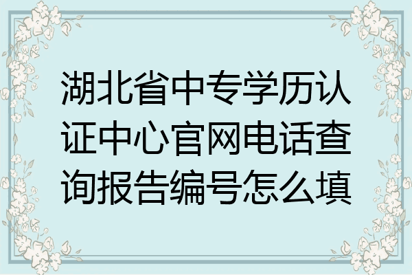 湖北省中专学历认证中心官网电话查询报告编号怎么填