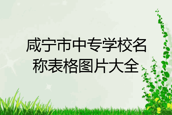 咸宁市中专学校名称表格图片大全
