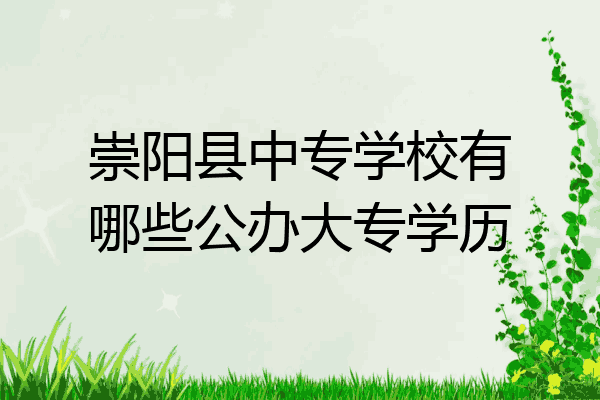 崇阳县中专学校有哪些公办大专学历