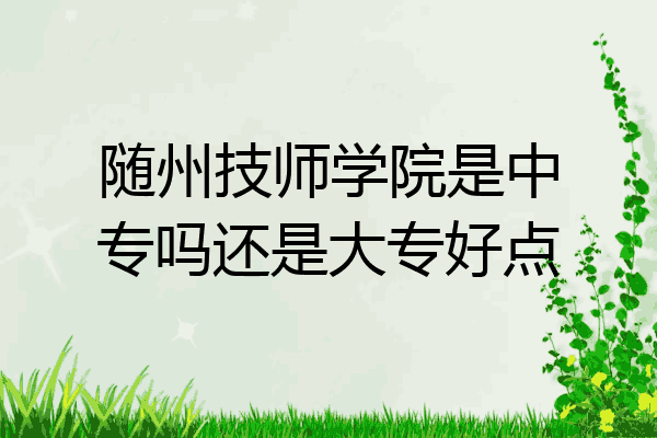 随州技师学院是中专吗还是大专好点