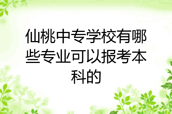 仙桃中专学校有哪些专业可以报考本科的