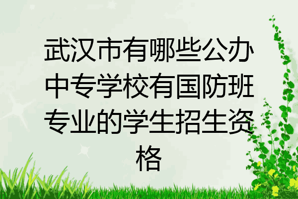 武汉市有哪些公办中专学校有国防班专业的学生招生资格