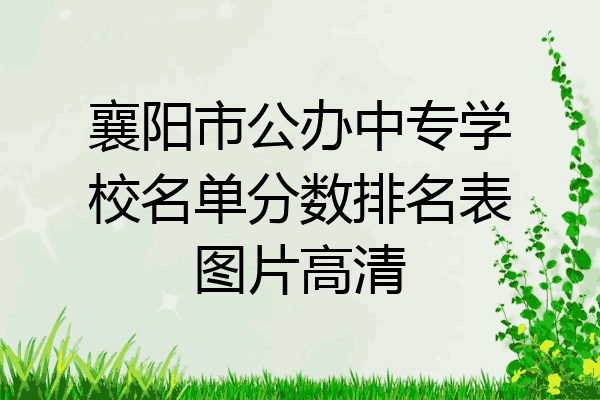 襄阳市公办中专学校名单分数排名表图片高清