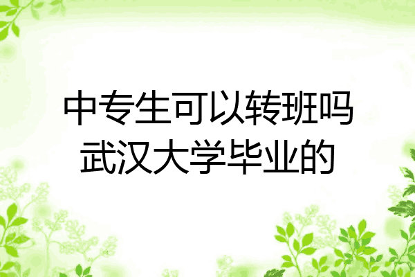 中专生可以转班吗武汉大学毕业的