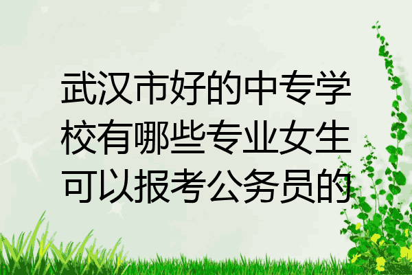 武汉市好的中专学校有哪些专业女生可以报考公务员的