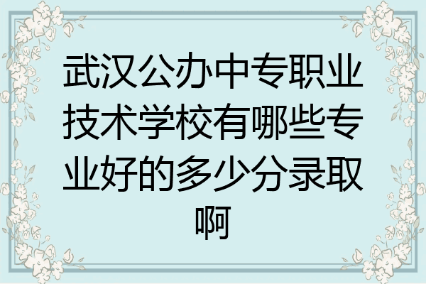 武汉公办中专职业技术学校有哪些专业好的多少分录取啊