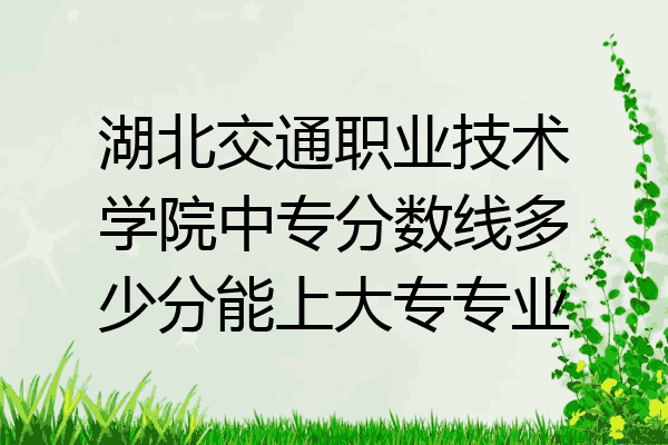 湖北交通职业技术学院中专分数线多少分能上大专专业