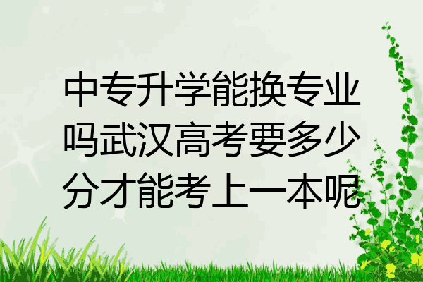 中专升学能换专业吗武汉高考要多少分才能考上一本呢