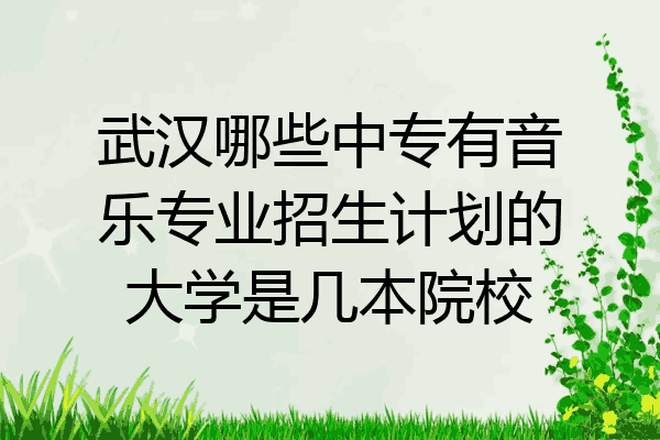 武汉哪些中专有音乐专业招生计划的大学是几本院校