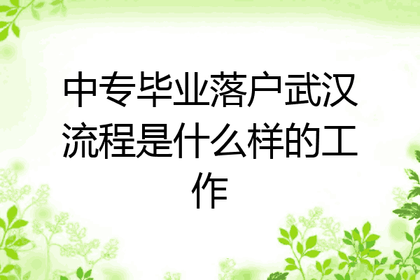 中专毕业落户武汉流程是什么样的工作