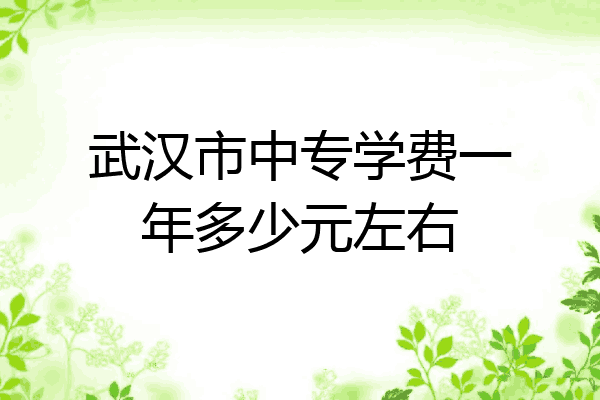 武汉市中专学费一年多少元左右