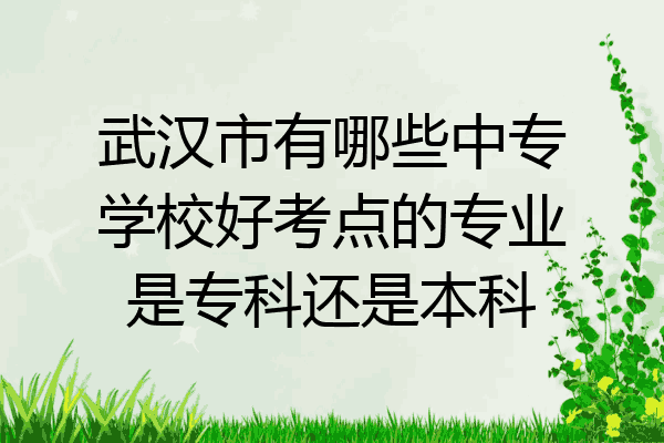 武汉市有哪些中专学校好考点的专业是专科还是本科