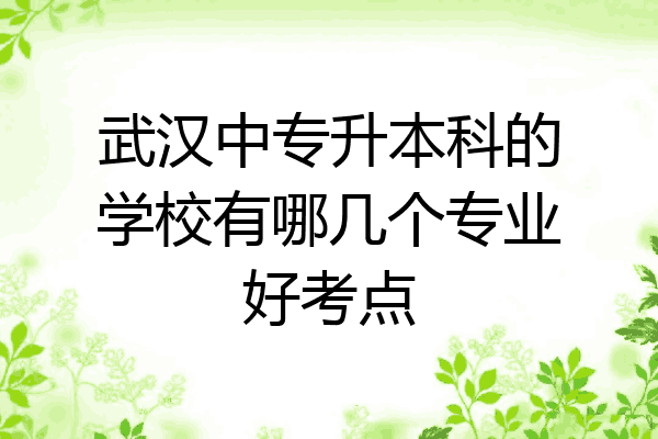 武汉中专升本科的学校有哪几个专业好考点