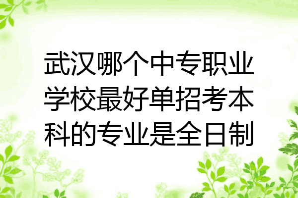 武汉哪个中专职业学校最好单招考本科的专业是全日制