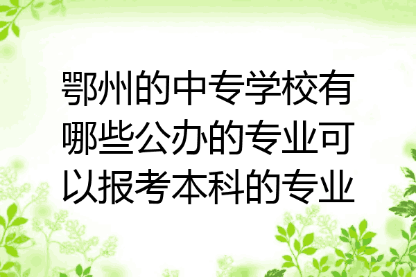 鄂州的中专学校有哪些公办的专业可以报考本科的专业
