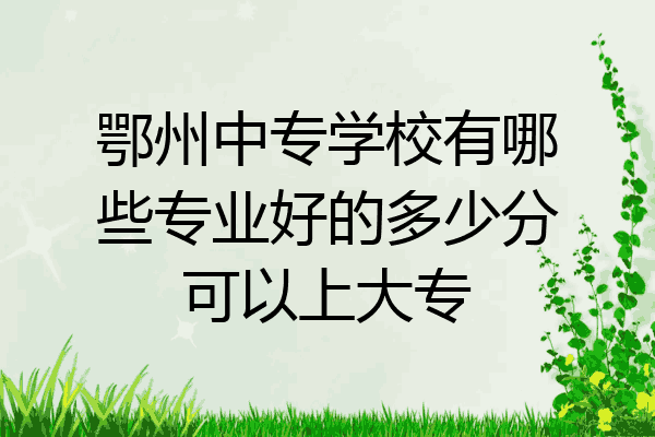 鄂州中专学校有哪些专业好的多少分可以上大专
