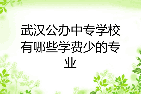 武汉公办中专学校有哪些学费少的专业