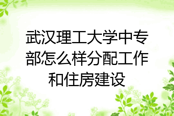 武汉理工大学中专部怎么样分配工作和住房建设