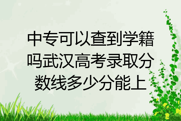 中专可以查到学籍吗武汉高考录取分数线多少分能上