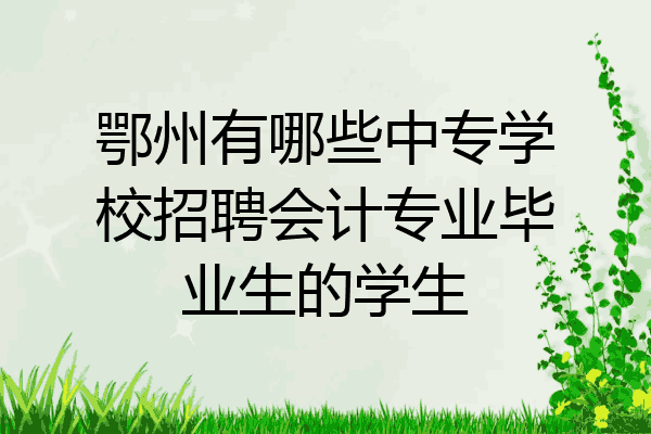 鄂州有哪些中专学校招聘会计专业毕业生的学生