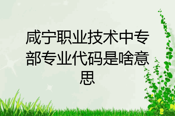 咸宁职业技术中专部专业代码是啥意思