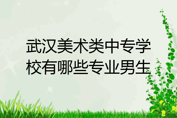 武汉美术类中专学校有哪些专业男生