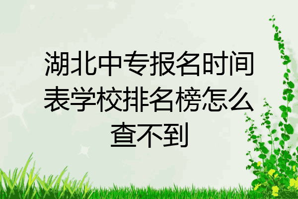 湖北中专报名时间表学校排名榜怎么查不到