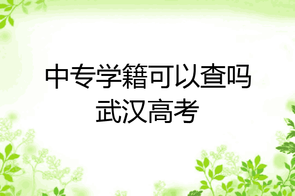中专学籍可以查吗武汉高考