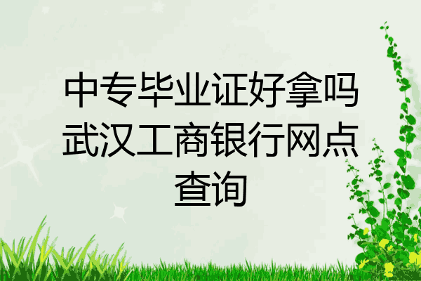 中专毕业证好拿吗武汉工商银行网点查询